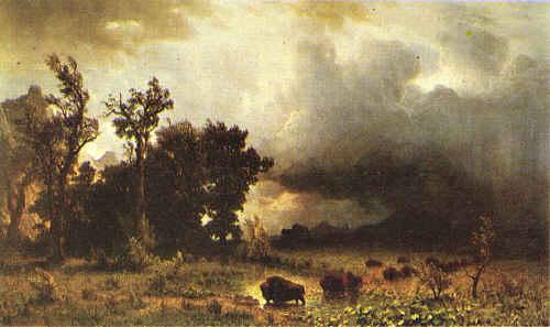 Albert Bierstadt Buffalo Trail Spain oil painting art